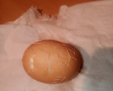 Foto del paso 2 de la receta: Truco pelar huevo fácil