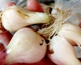 Hình bước làm 1 của món Hành tươi trộn sốt mắm ớt