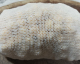 Foto del paso 1 de la receta: Botillo