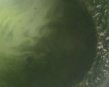 A picture of step 1 of Spinach Mint Sev.
