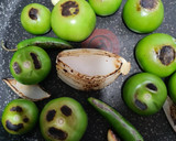 Foto del paso 2 de la receta: Salsa verde asada