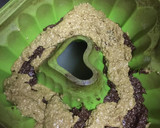 Foto del paso 4 de la receta: Torta mármolada integral