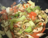 Foto del paso 5 de la receta: Noodles de pollo con verduras