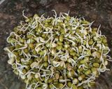 મગ સલાડ(mung salad Recipe in Gujarati) રેસીપી સ્ટેપ1ફોટો