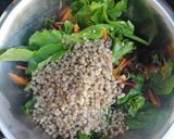 A picture of step 12 of Smoked duck/buckwheat/orange/pomegranate/houmous salad.