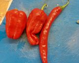 Foto del paso 1 de la receta: Mojo picón rojo