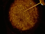 Sopa inglesa con dulce de leche