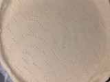 كيش بكاشير لذيذة بلا عذاب