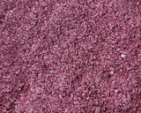 Foto del paso 4 de la receta: Sal Saborizada con Malbec