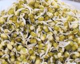 स्प्राऊट मूंग सलाड (sprouted mung salad recipe in marathi) रेसिपी स्टेप 1 फोटो 