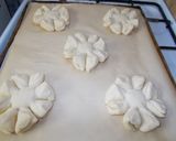 Lóhere recept fázis 10 fotója