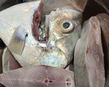 Gambar langkah 1 resipi Sup Ikan Putih Sabah Style.