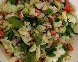 Fattush Salad *Vegan recipe step 3 photo
