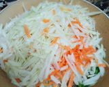 A picture of step 2 of Raw Papaya and carrot Sambharo.