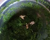 હરિયાળી બિરયાની(Hariyali biryani) રેસીપી સ્ટેપ1ફોટો