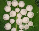 A picture of step 3 of Modak.