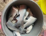 Foto langkah ke 1 dari resep Godokan Gulo Asem/ Rebusan Gula Asem.