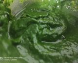A picture of step 1 of Stuffed eggplant with spinach gravy.