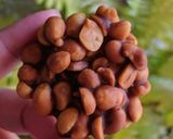 Foto langkah ke 3 dari resep Ampyang kacang/ teng2 gula merah.