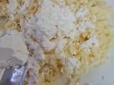 Galletitas "ameboides" de mozzarella con fécula de mandioca 🧀 3 ingredientes