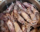 Foto langkah ke 1 dari resep Cumi asin tumis tomat ijo kecombrang.