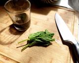 Philz的必打卡咖啡 在家不用10分鐘輕鬆完成｜Mint Mojito Coffee的食譜步驟2照片