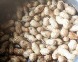 A picture of step 2 of Boiled fresh ground nuts (PEANUTS).