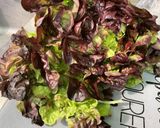 Une image de l'étape 1 de Salade de feuille de chêne à la feta et persil.
