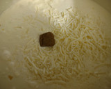 Foto del paso 8 de la receta: Tagliatelle con picantón asado en crema de queso