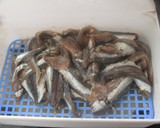 Foto del paso 2 de la receta: Boquerones en vinagre con pimientos asados