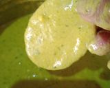 ग्रीन कॉटेज चीज़ और आलू स्टिक्स(green cottage cheese aur aloo sticks recipe in hindi) रेसिपी चरण 4 फोटो