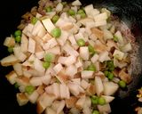 A picture of step 3 of Shingda.