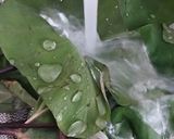 A picture of step 2 of Colocasia Leaves/Patod/Patra/Arbi ke patte.