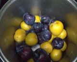 Foto del paso 1 de la receta: Ciruelas, prunas cocidas