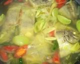 Foto langkah ke 4 dari resep Ikan Palumara.