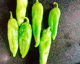 બેસનના ભરેલા મરચાં(besan bhrela marcha recipe in Gujarati) રેસીપી સ્ટેપ1ફોટો