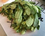 Une image de l'étape 2 de Herbes fraîches au naturel (menthe, coriandre, persil frisé).