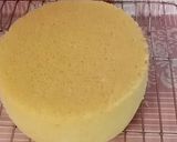 Foto langkah ke 6 dari resep Cheesecake with Chocolate Topping 😋.