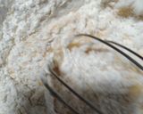 Foto langkah ke 7 dari resep Bolu Caramel Mini 1 Telur Takaran Sendok.