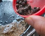 এলাহাবাদ কি তেহারি (Allahabad ki tehari recipe in Bengali) রেসিপির ধাপ 1 ছবি