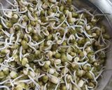 A picture of step 1 of Mung bean sprouts salad.