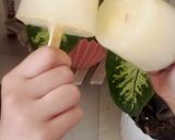 عکس مرحله 2 از دستور یخمک آناناس
