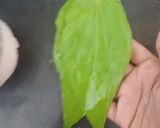 A picture of step 1 of Paan shot.
