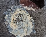 Foto langkah ke 5 dari resep Tahu Isi Aci Kukus mudah dan enak.