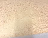 Foto del paso 6 de la receta: 200. Brazo de gitano (postre)