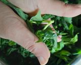 Foto langkah ke 3 dari resep Gule daun singkong jengkol.
