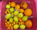 Foto del passaggio 1 della ricetta Marmellata di agrumi misti