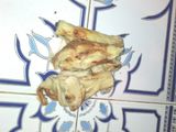 زعلوك