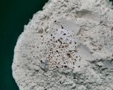 Foto del paso 2 de la receta: Tortilla Santiagueña la pedida para el mate