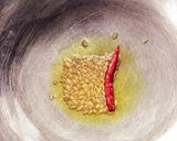 আমসত্বের চাটনি(Amsotter chatni recipe in bengali) রেসিপির ধাপ 3 ছবি